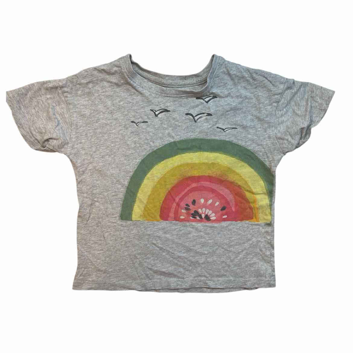 Tea Collection (A) Grey Toddler Size 3 Girl's SSTop