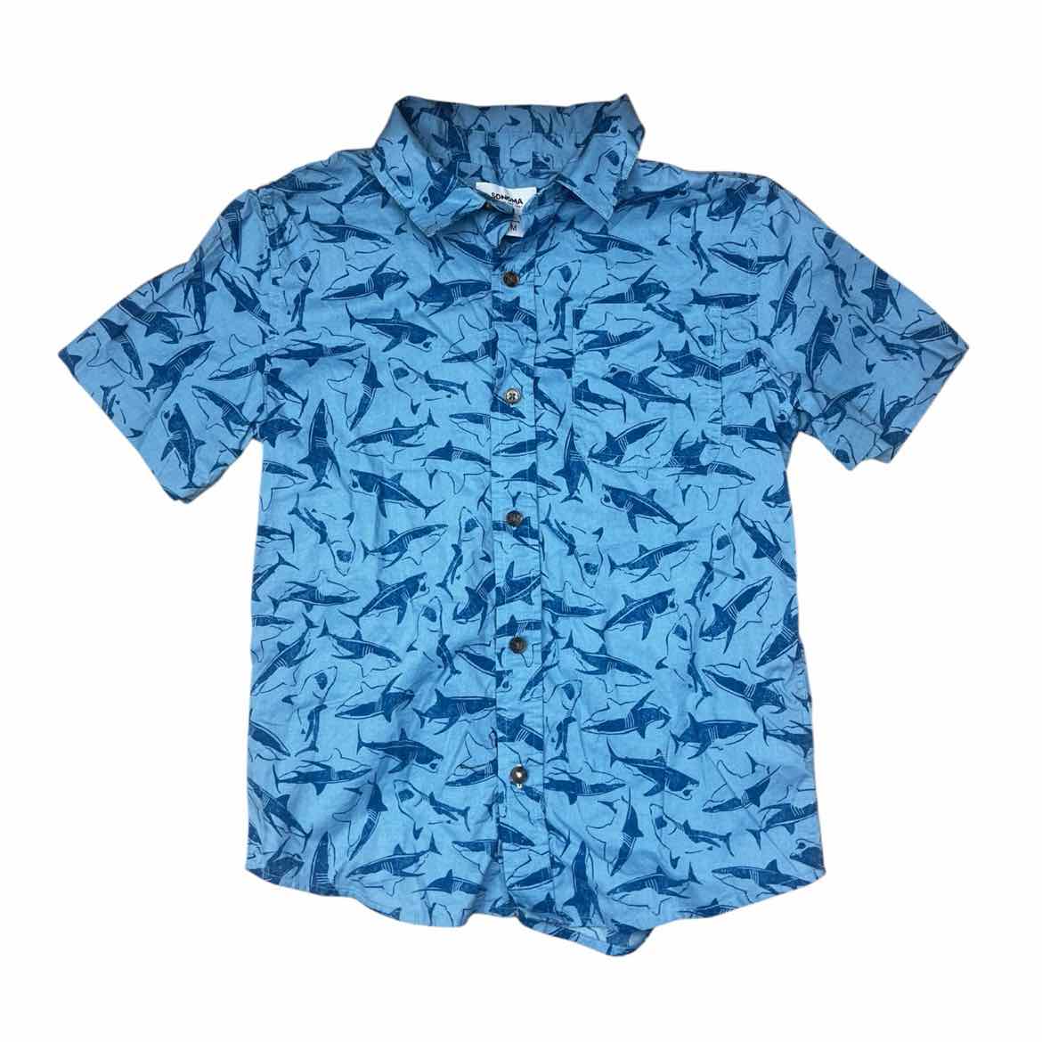 Sonoma (C) Blue Youth Size 10-12 Boy's ButtondownSS