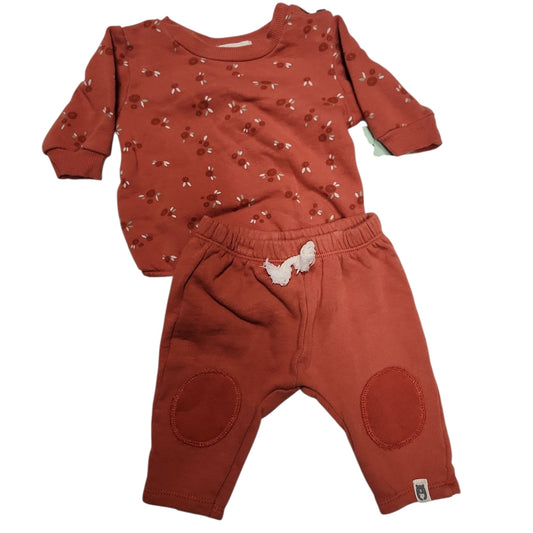 Rabbit + Bear (C) Orange Infant Size 0-3 MO 2PC Casual