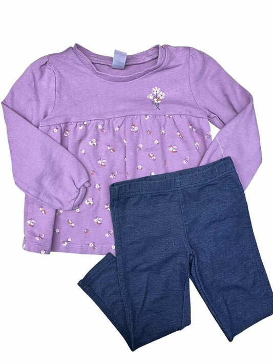 Carters (C) Purple Toddler Size 4T Girl's 2PCCasual