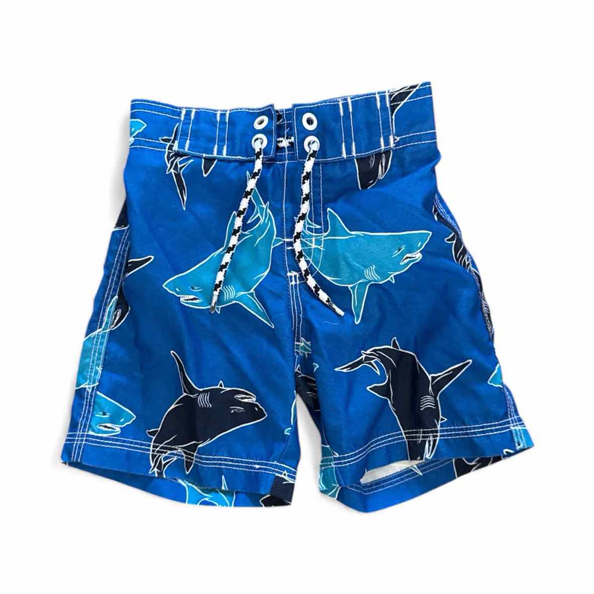 Gymboree (C) Blue Print Infant Size 18-24 MO Boy's SwimTrunks