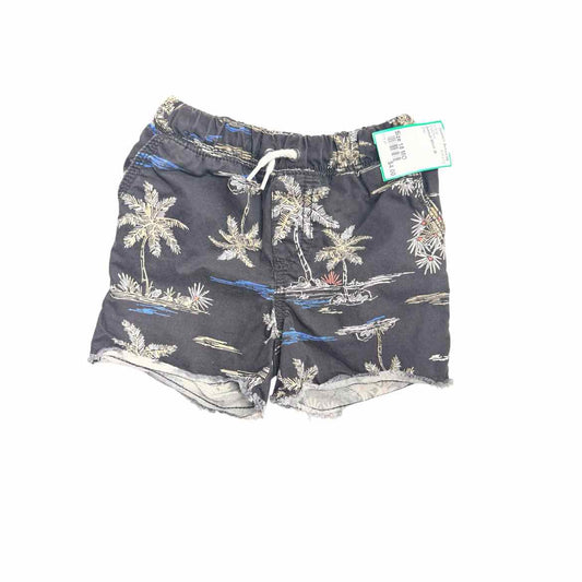 OshKosh BGosh (B) Grey Infant Size 18 MO Boy's ShortChino