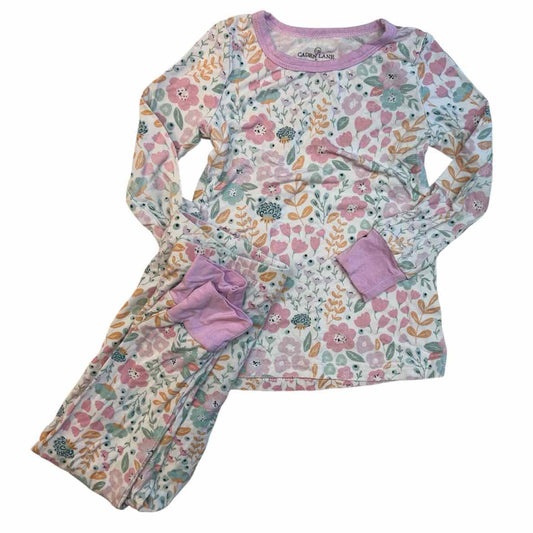 Caden Lane (AA) Floral Toddler Size 2T Girl's 2PCSleepwear