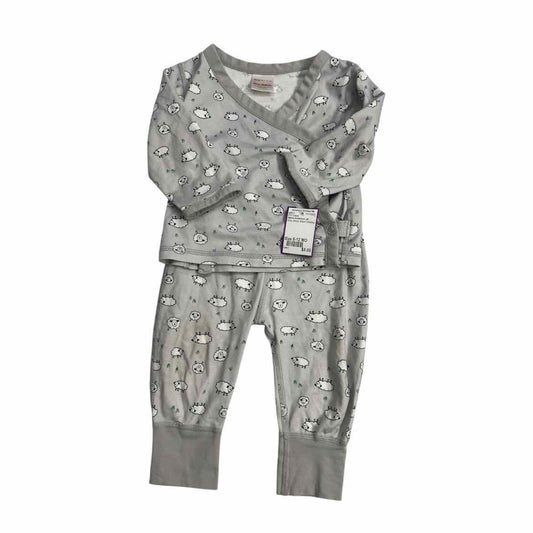 Hanna Andersson (A) Grey Infant Size 6-12 MO 2PC Casual